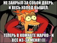 Не закрыл за собой дверь, и весь холод вышел. Теперь в комнате жарко - и всё из-за меня! (((