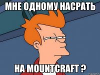 Мне одному насрать на mountcraft ?