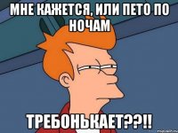 МНЕ КАЖЕТСЯ, ИЛИ ПЕТО ПО НОЧАМ Требонькает??!!