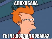 алахабаха ты че дохлая собака?