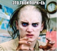 это твой порк=еь 