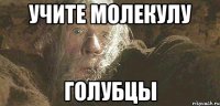 учите молекулу голубцы