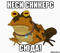 неси сникерс сюда!