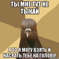 Ты мне тут не тыкай А то я могу взять и насрать тебе на голову!