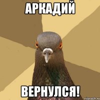 Аркадий вернулся!