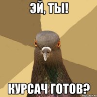 Эй, ты! Курсач готов?