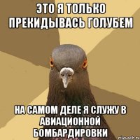 это я только прекидывась голубем на самом деле я служу в авиационной бомбардировки