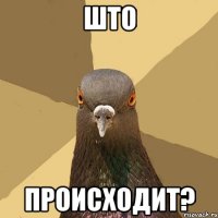 Што происходит?