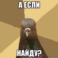 А если Найду?