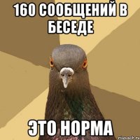 160 сообщений в беседе Это норма