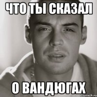 Что ты сказал О ВАНДЮГАХ