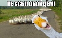 НЕ ССЫ! ОБОЙДЁМ! 