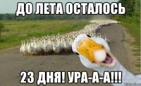 До лета осталось 23 дня! Ура-а-а!!!