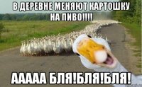 В Деревне меняют картошку на ПИВО!!!! ААААА БЛЯ!БЛЯ!БЛЯ!