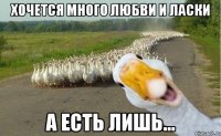 Хочется много любви и ласки А есть лишь...