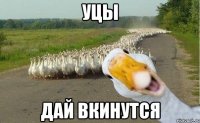 Уцы Дай вкинутся