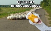 где стипуха су*и????????????? 