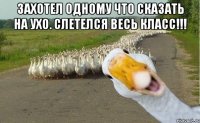 Захотел одному что сказать на ухо. Слетелся весь класс!!! 