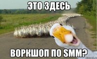 Это здесь воркшоп по SMM?