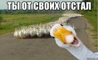 ты от своих отстал 