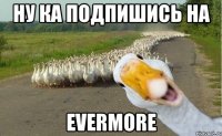 Ну ка подпишись на EVERMORE