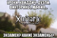 Уроки, квиддич, дуэли, викторины, мафия... Экзамен? Какие экзамены?