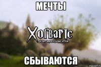 Мечты Сбываются