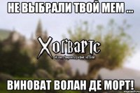 Не выбрали твой мем ... Виноват Волан де Морт!