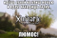 Идёшь такой на улице ночью и вдруг находишь палку. ЛЮМОС!