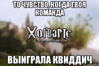 то чувство, когда твоя команда выиграла квиддич