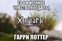 то офигенное чувство,когда ты Гарри Поттер