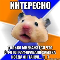 Интересно только мнекажется что сфотографиравали хамяка когда он танул.... T_T