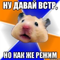 НУ ДАВАЙ ВСТР, НО КАК ЖЕ РЕЖИМ