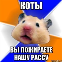 коты вы пожираете нашу рассу