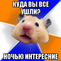 куда вы все ушли? ночью интересние