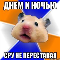 Днем и ночью сру не переставая