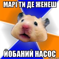 марі ти де женеш йобаний насос