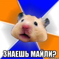  ЗНАЕШЬ МАЙЛИ?