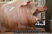 Подарок Королю