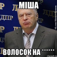 міша волосок на ******