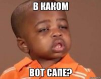 В каком Вот сапе?