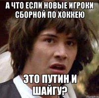 А что если новые игроки сборной по хоккею это Путин и Шайгу?