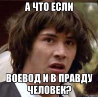 А ЧТО ЕСЛИ ВОЕВОД И В ПРАВДУ ЧЕЛОВЕК?