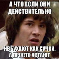 а что если они действительно не бухают как сучки, а просто устают