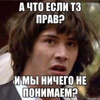 А что если ТЗ прав? И мы ничего не понимаем?