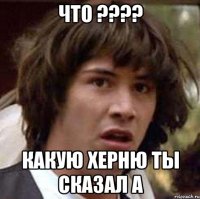 ЧТО ???? КАКУЮ ХЕРНЮ ТЫ СКАЗАЛ а