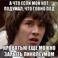 а что если мой кот подумал, что говно под кроватью еще можно зарыть линолеумом