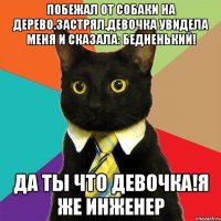 Побежал от собаки на дерево.Застрял.Девочка увидела меня и сказала: бедненький! Да ты что девочка!Я же инженер