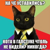 На чё уставились? Кота в галстуке чтоль не видели? Никогда?