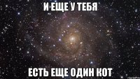 И еще у тебя есть еще один кот